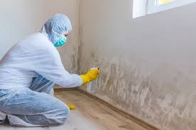 Best Basement Mold Removal  in Tarrytown, NY