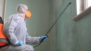  Tarrytown, NY Mold Removal Services Pros